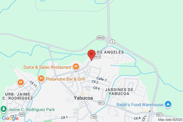 123 CORP YABUCOA