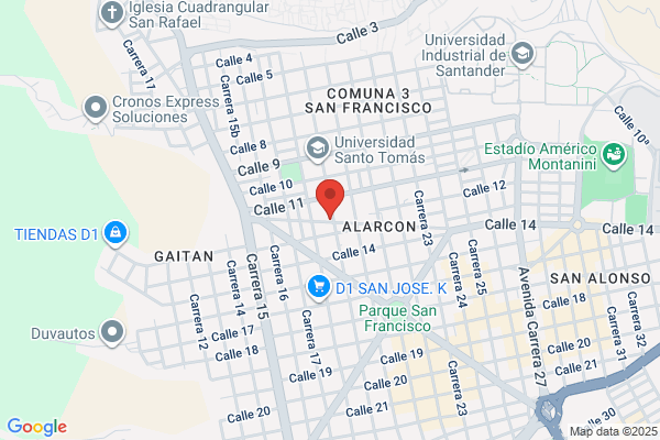 COLEGIO SAN VICENTE FERRER