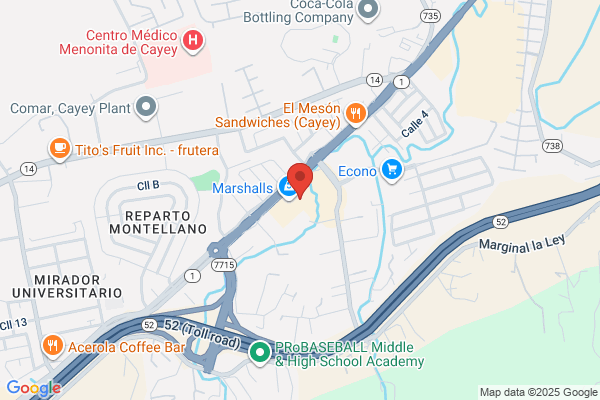 ME SALVE CAYEY INC