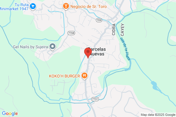 CAYEY MUFFLERS