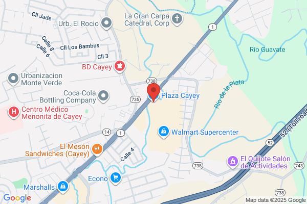 GUL CAYEY PLAZA