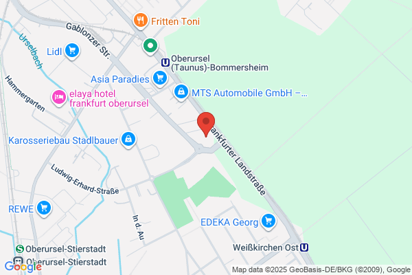MTS AUTO CLINIC