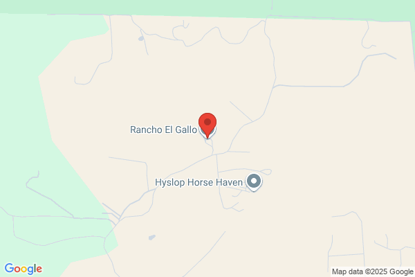 EL RANCHO GALLO