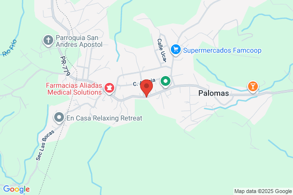 ALEJANDRO DE JESUS GROCERY