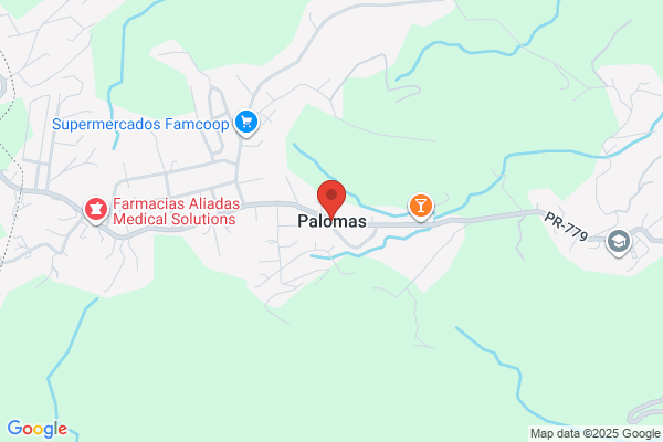 COMERCIAL PALOMAS INC