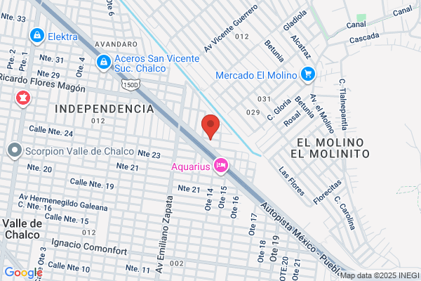 HOGAR JUVENIL EMMANUEL INC