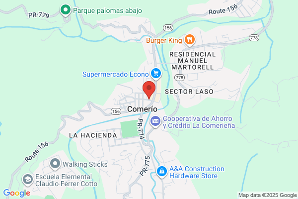 LABORATORIO CLINICO COMERIO