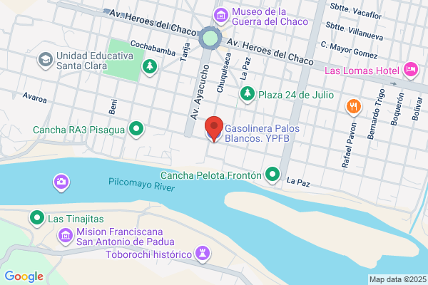 GASOLINERA PALOS BLANCOS
