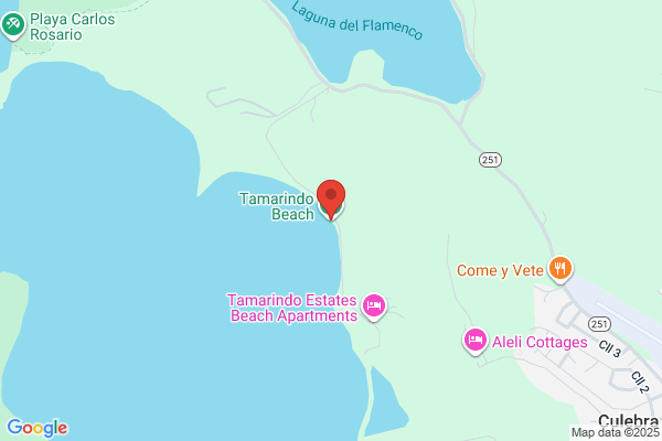 TAMARINDO'S RESTAURANT