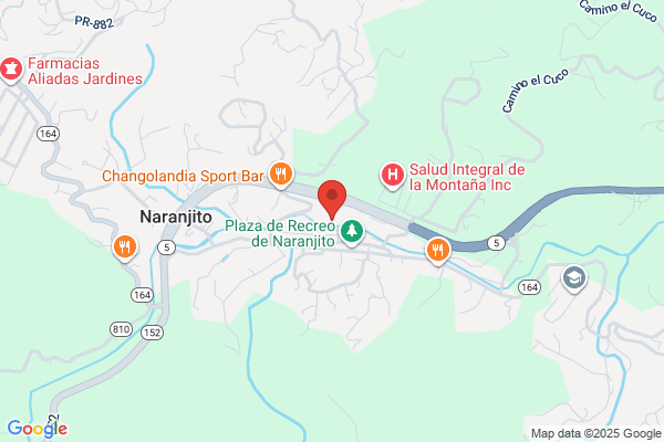 123 CORP NARANJITO