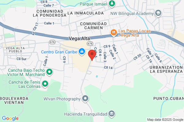 123 CORP VEGA ALTA
