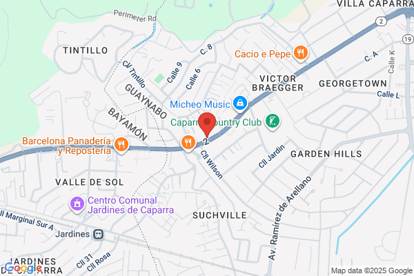 Borinquen Title Loans