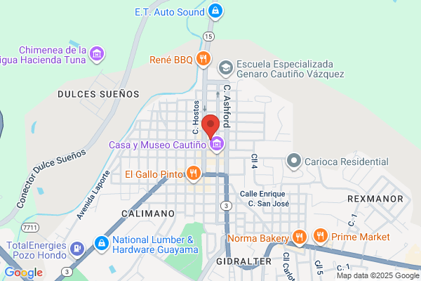 EL POLLITO DE DORADO