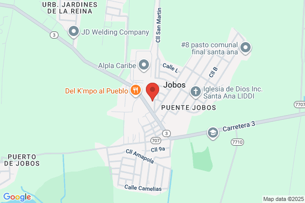 FERRETERIA PUENTE DE JOBOS
