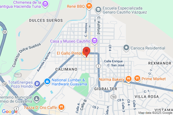 CONSULTORES OFTALMICOS DEL SUR