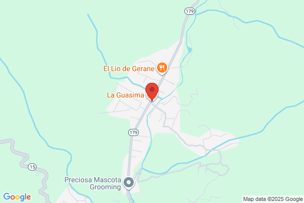 RESTAURANT LA GUASIMA
