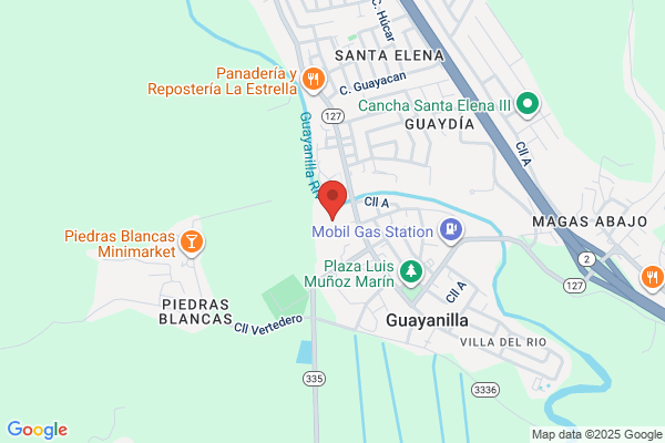 BANDA ESCOLAR DE GUAYANILLA