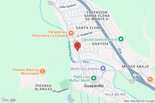 ELIZARDO RAMOS PAGAN