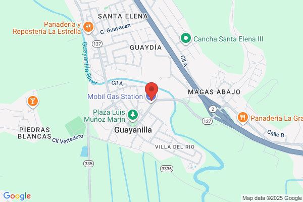 GUAYANILLA AUTO PAINT