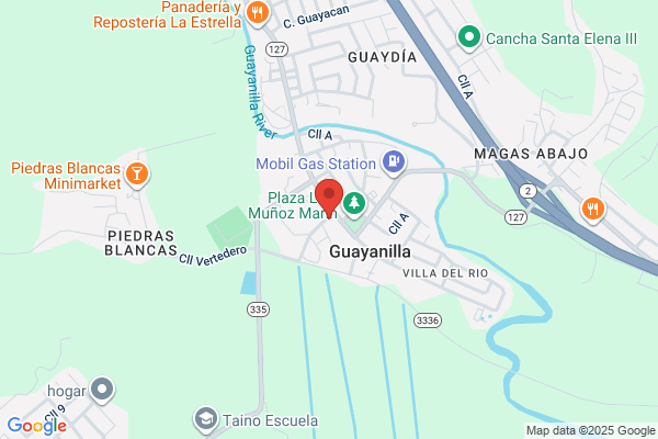 GUAYANILLA GAS SVC