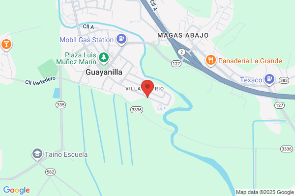 GUAYANILLA SERVICES