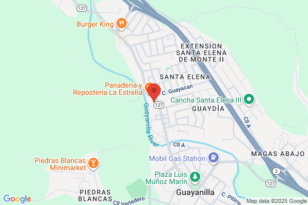 SUPERMERCADO GUAYNIA INC