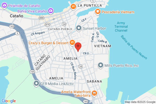 AMALIA SERVICES