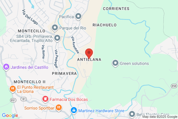 ANTILLANA HOMEOWNERS ASSN INC
