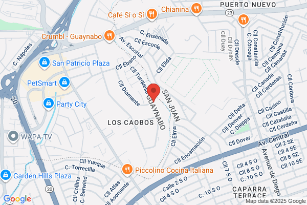 INSTITUTO PUERTORRIQUENO
