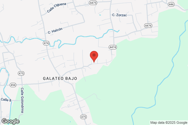 GALES AUTO COLLISION