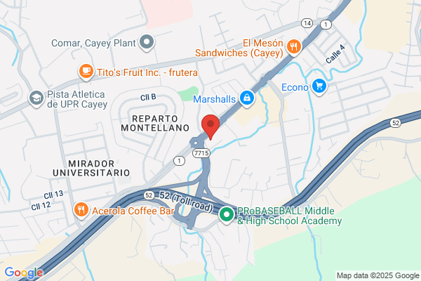 CAYEY AUTO MALL