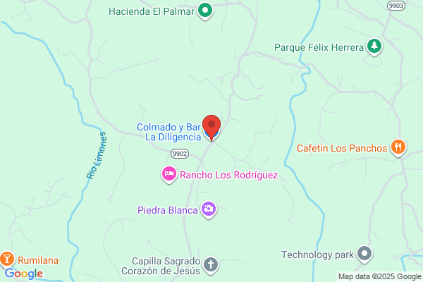 LA DILIGENCIA