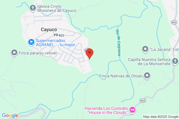 CAGUANA BEAUTY SALON