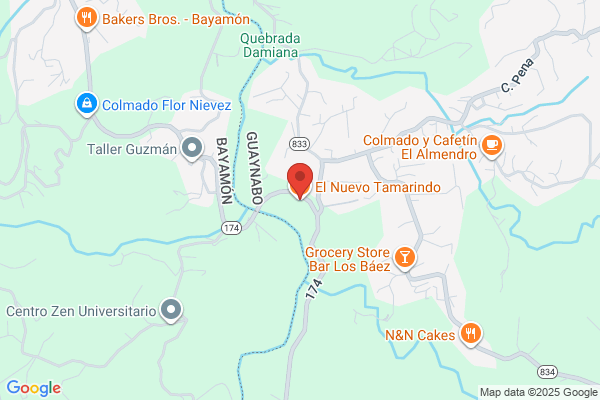 EL NUEVO TAMARINDO