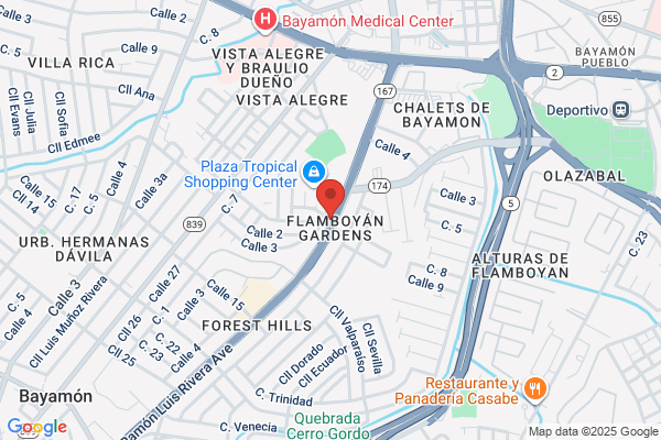 MEGA CELLULAR