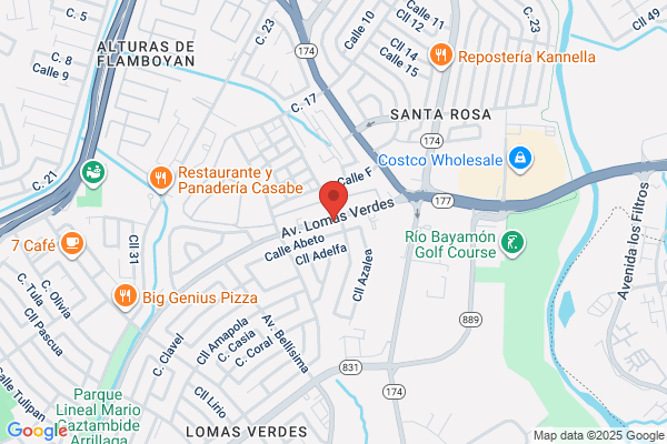 ANA L RAMOS VARGAS DDS
