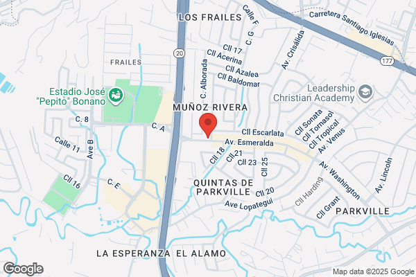 CESAR P TORRES CAMPIS DDS