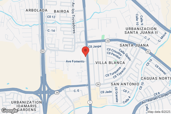 ALMACENES PITUSA INC