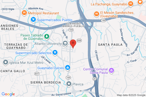 ALMACENES PITUSA INC