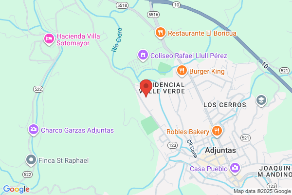 ADJUNTAS ELECTRONICS MFG CORP