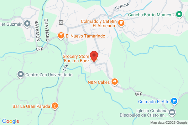 F J BAEZ