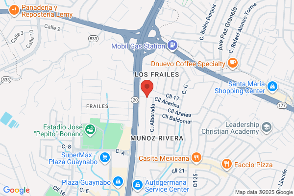 FLORISTERIA ENID