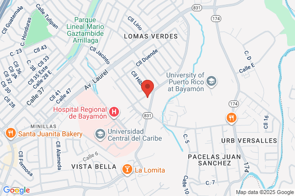 PETROLANE OF PUERTO RICO INC
