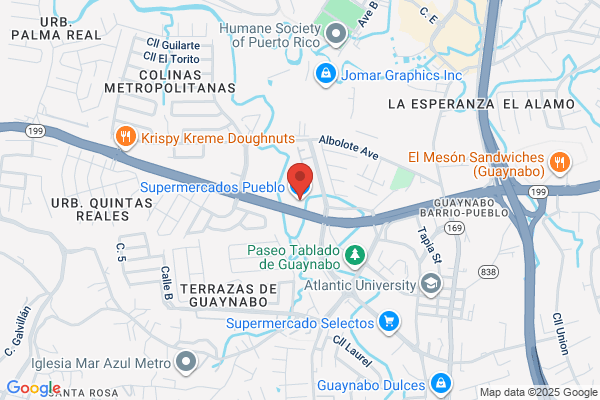 CARMEN L APONTE GARCIA GROCERY