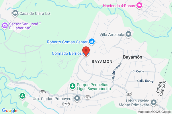 COLMADO BERRIOS EL BADEN