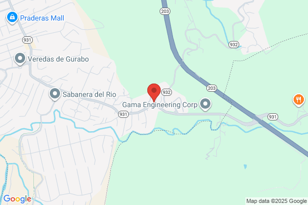 CAGUAS LUMBER YARD INC