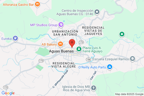 SERVICIOS DE SALUD PRIMARIOS