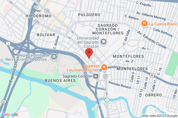 PULMONARY SERVICES INTL