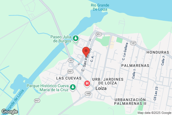 LABORATORIO CLINICO DE LOIZA