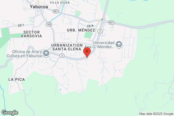 YABUCOA MUFFLER SHOP